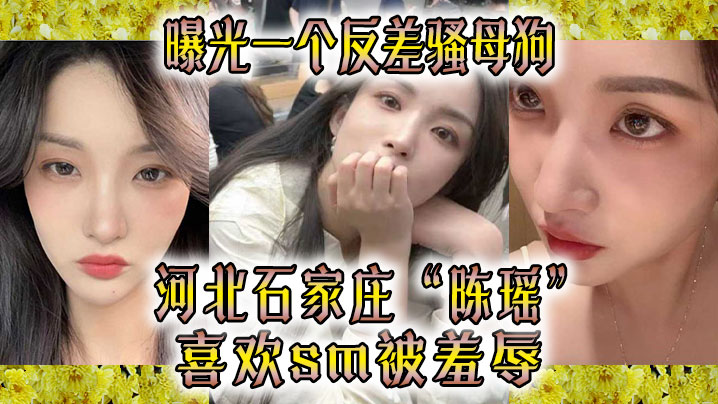 反差骚母狗！石家庄人妻玩SM被羞辱内射爆操